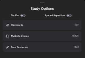 SlaySchool.com: AI in Education study options screenshot